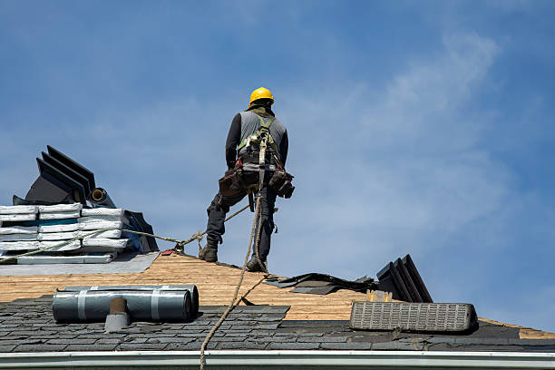 Professional Roof Replacement technician working in Toms Brook, VA